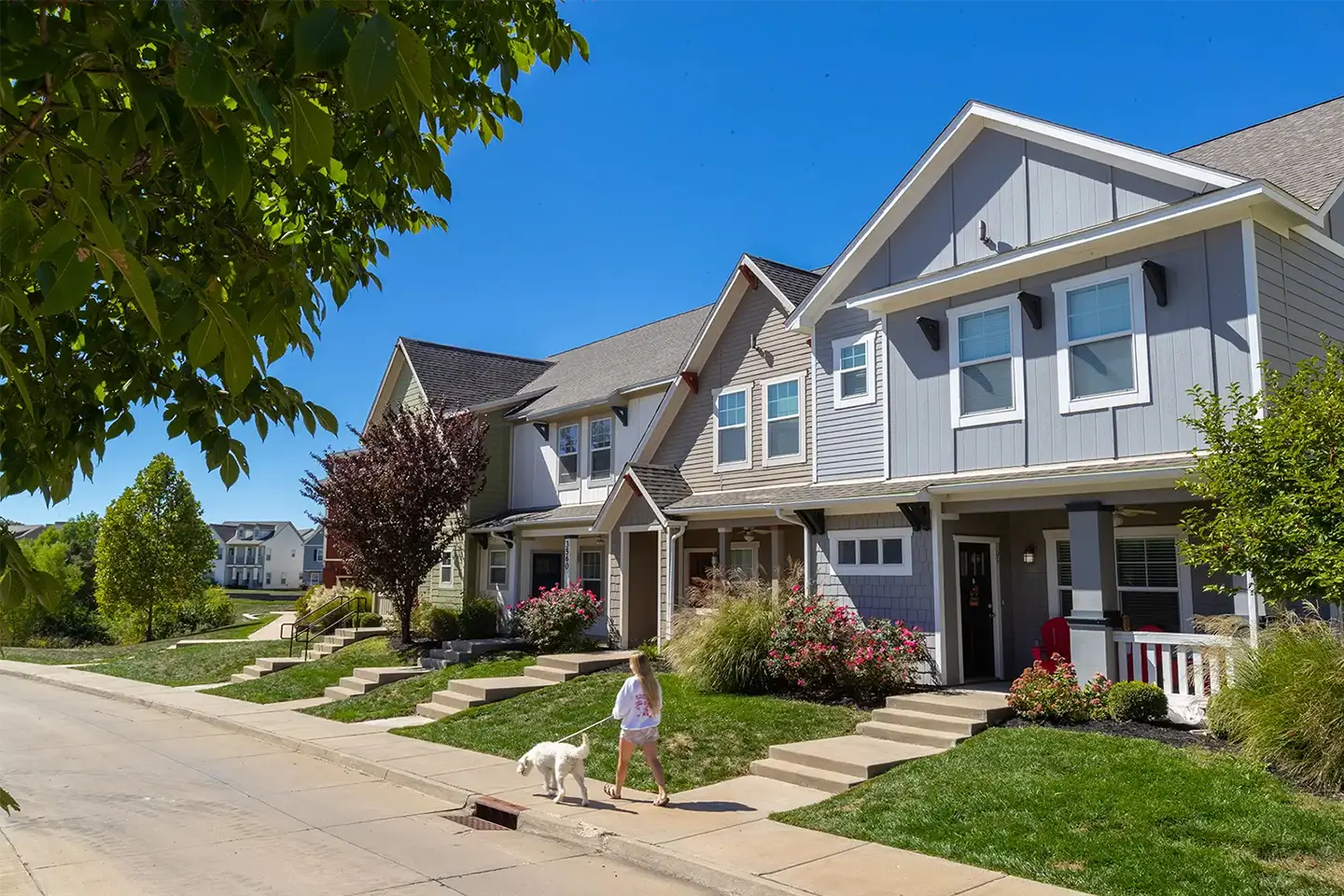 Dog being walked in front of apartment buildings.